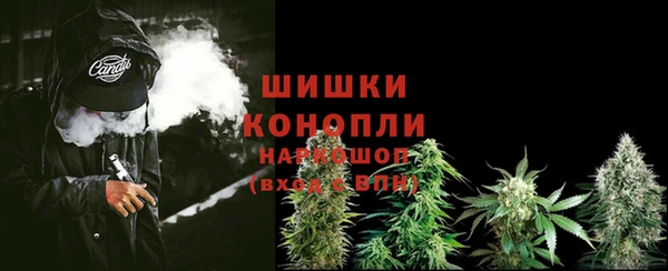 каннабис Аркадак